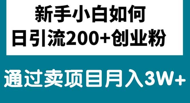 新手小白日引流200+创业粉,通过卖项目月入3W+-云泽轻创网