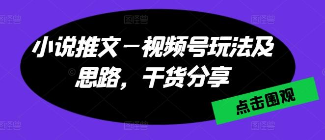 小说推文—视频号玩法及思路，干货分享-云泽轻创网