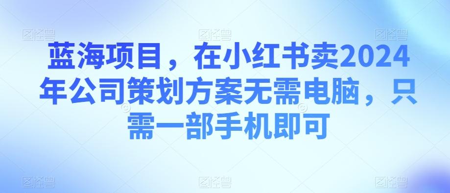 蓝海项目，在小红书卖2024年公司策划方案无需电脑，只需一部手机即可-云泽轻创网