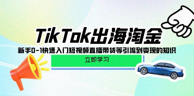(10035期)TikTok-出海淘金，新手0-1快速入门短视频直播带货等引流到变现的知识-云泽轻创网