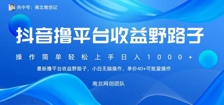 最新撸抖音平台收益野路子，操作简单，单价高，小白可无脑操作可日入1000+-云泽轻创网