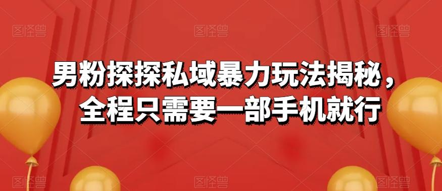 男粉探探私域暴力玩法揭秘，全程只需要一部手机就行-云泽轻创网
