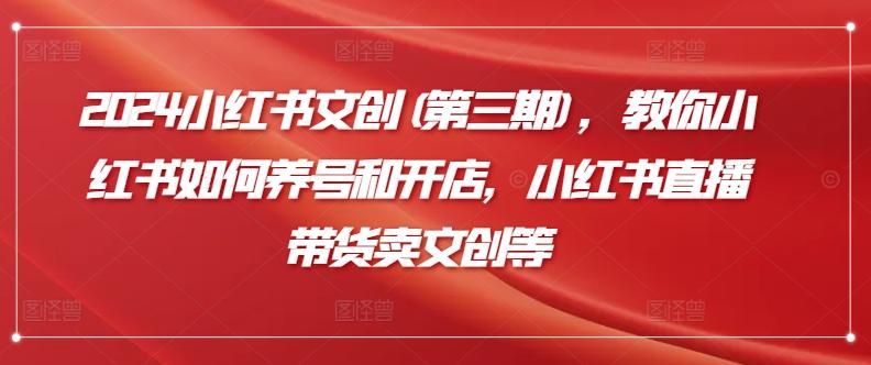 2024小红书文创(第三期)，教你小红书如何养号和开店，小红书直播带货卖文创等-云泽轻创网