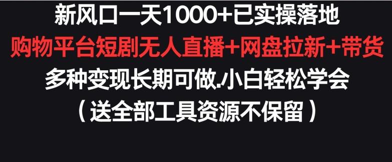 新风口一天1000+已实操落地购物平台短剧无人直播+网盘拉新+带货多种变现长期可做【揭秘】-云泽轻创网