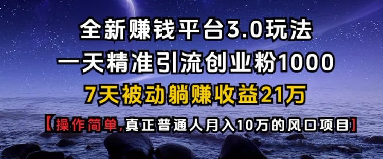全新赚钱平台3.0玩法一天精准引流创业粉1000.7天被动躺Z收益21W【仅揭秘】-云泽轻创网