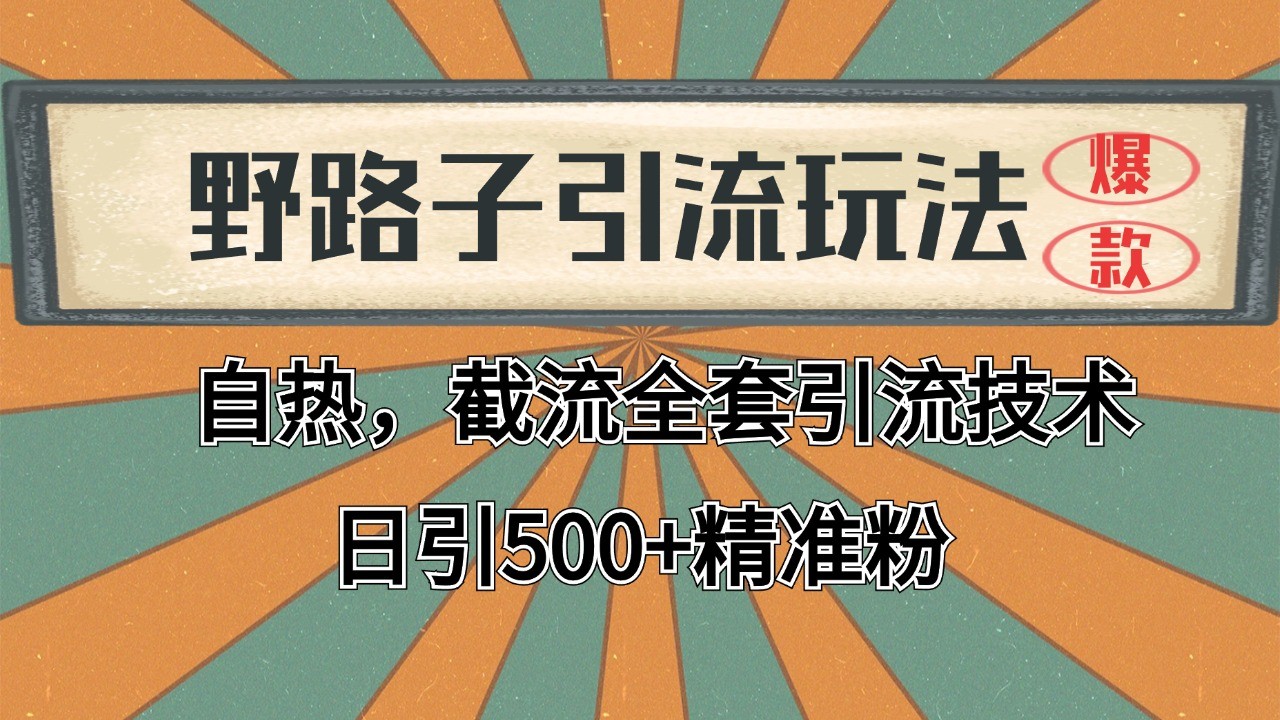 2024首发野路子引流玩法截流自热全平台打法，全自动引流【日引2000+精准客户】-云泽轻创网