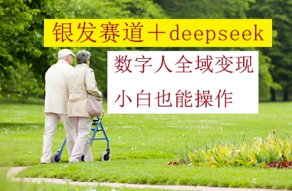 银发赛道+deepseek数字人全域变现，小白也能操作-云泽轻创网