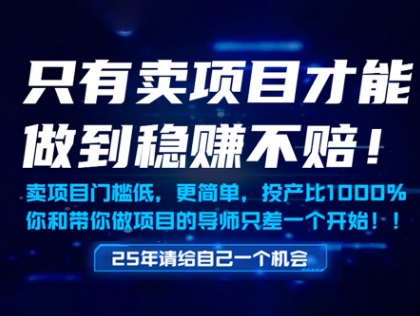 只有卖项目才能做到稳挣不赔，门槛低，更简单，你也可以年入百个W【揭秘】-云泽轻创网