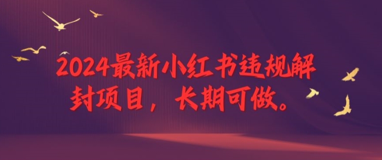 2024最新小红书违规解封项目，长期可做，一个可以做到退休的项目【揭秘】-云泽轻创网