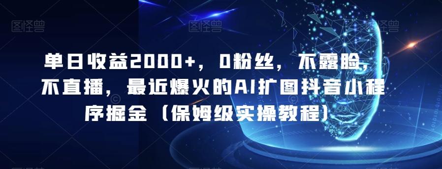 单日收益2000+，0粉丝，不露脸，不直播，最近爆火的AI扩图抖音小程序掘金（保姆级实操教程）-云泽轻创网