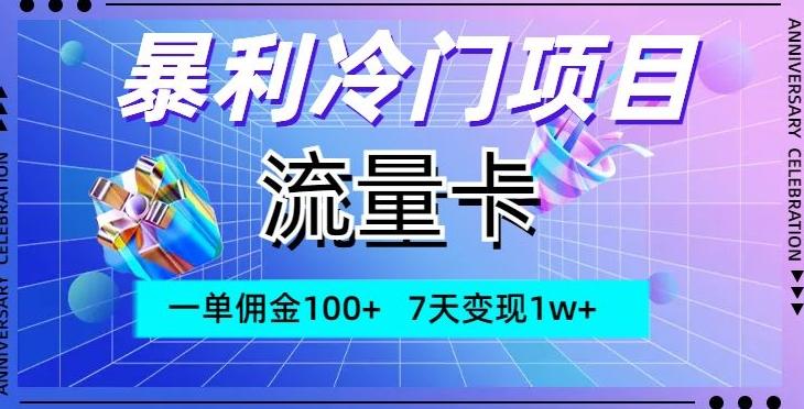 暴利冷门项目，流量卡，一单佣金100+，7天变现1w+-云泽轻创网