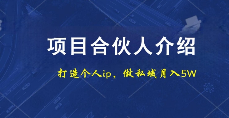 项目合伙人项目，打造个人IP，做私域月入5W，小白勿扰-云泽轻创网