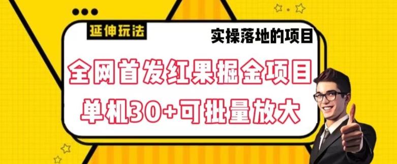 全网首发红果免费短剧掘金项目，单机30+可批量放大【揭秘】-云泽轻创网