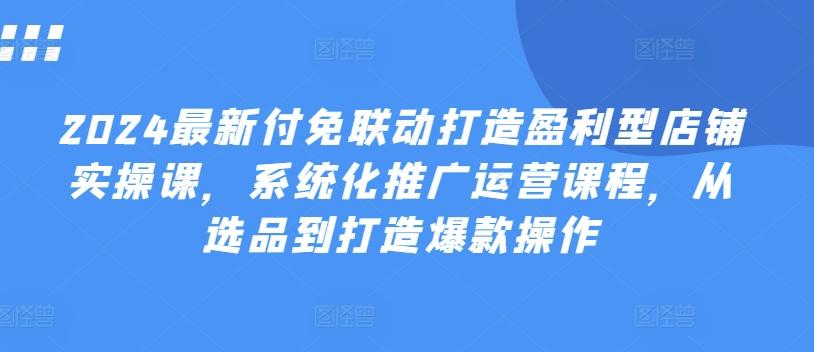 2024最新付免联动打造盈利型店铺实操课，​系统化推广运营课程，从选品到打造爆款操作-云泽轻创网