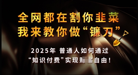知识付费如何做到月入过W+，2025我来教你做“镰刀”【揭秘】-云泽轻创网