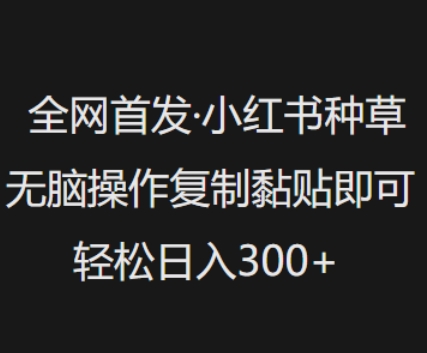 全网首发，小红书种草无脑操作，复制黏贴即可，轻松日入3张-云泽轻创网
