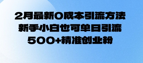 2月最新0成本引流方法，新手小白也可单日引流500+精准创业粉-云泽轻创网