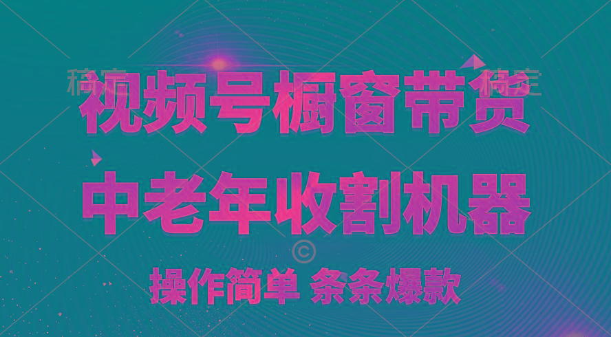 [你的孩子成功取得高位]视频号最火爆赛道，橱窗带货，流量分成计划，条…-云泽轻创网