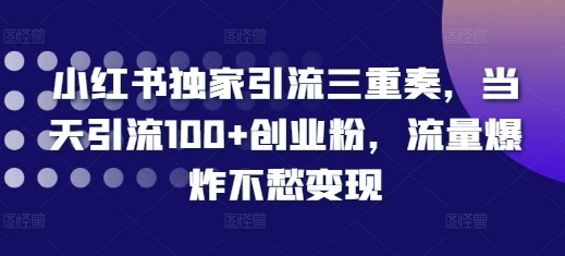 小红书独家引流三重奏，当天引流100+创业粉，流量爆炸不愁变现【揭秘】-云泽轻创网