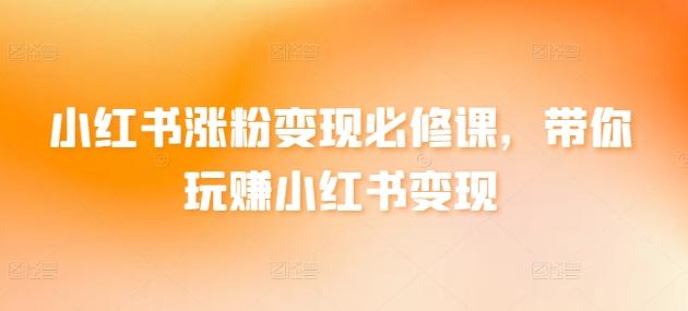小红书涨粉变现必修课，带你玩赚小红书变现-云泽轻创网