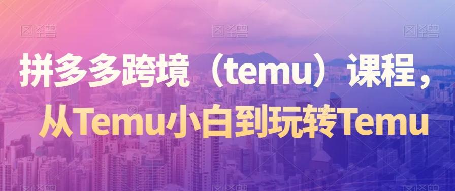 拼多多跨境（temu）课程，从Temu小白到玩转Temu-云泽轻创网