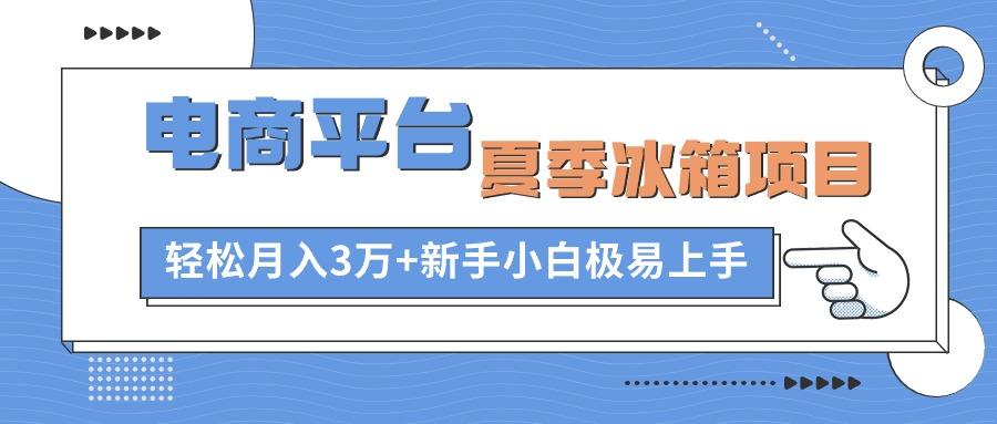 电商平台夏季冰箱项目，轻松月入3万+，新手小白极易上手-云泽轻创网