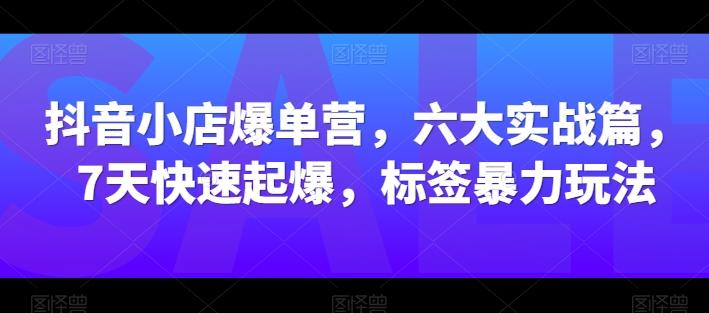 抖音小店爆单营，六大实战篇，7天快速起爆，标签暴力玩法-云泽轻创网