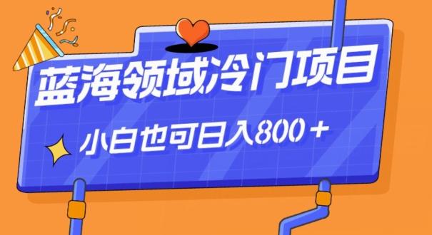 蓝海领域冷门赛道，一单39.9，日入800＋-云泽轻创网