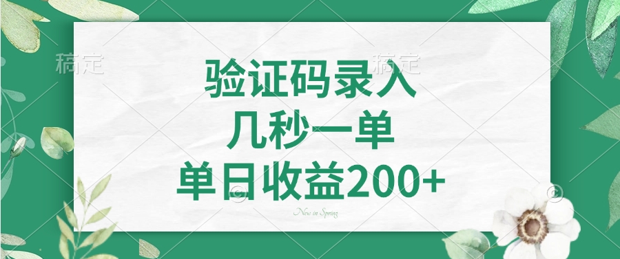 验证码录入，几秒一单，单日收益200+-云泽轻创网