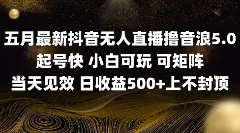 2025五月最新无人直播撸音浪单日产出5张+实操教程【揭秘】-云泽轻创网
