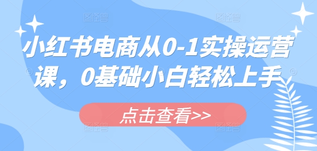 小红书电商从0-1实操运营课，0基础小白轻松上手-云泽轻创网