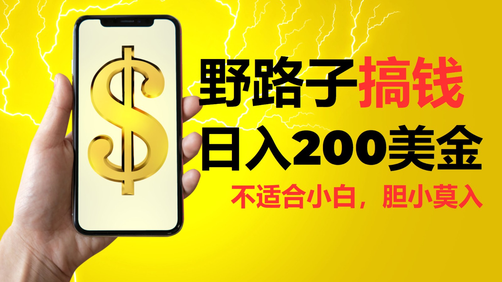 挂机野路子搞钱，日入200美金，路子很野，小白莫入-云泽轻创网