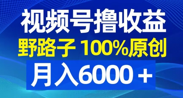 视频号野路子撸收益，100%原创，条条爆款，月入6000＋【揭秘】-云泽轻创网