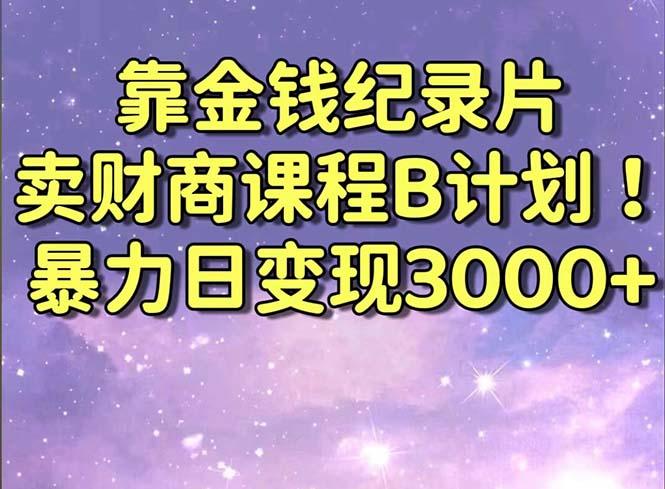 靠金钱纪录片卖财商课程B计划！暴力日变现3000+，喂饭式干货教程！-云泽轻创网