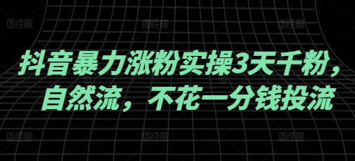 抖音暴力涨粉实操3天千粉，自然流，不花一分钱投流，实操经验分享-云泽轻创网