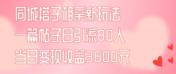 同城搭子相亲新玩法一篇帖子引流80人当日变现3600元(项目教程+实操教程)【揭秘】-云泽轻创网