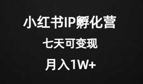 价值2000+的小红书IP孵化营项目，超级大蓝海，七天即可开始变现，稳定月入1W+-云泽轻创网
