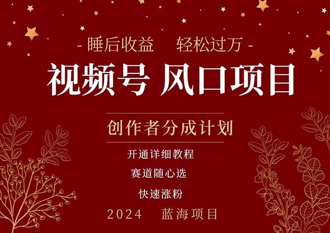 拥有睡眠收益的微信视频号大风口项目，轻松月入过万+，多赛道选择，可…-云泽轻创网