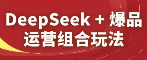 DeepSeek+爆品运营组合玩法，2025淘系精品课-云泽轻创网
