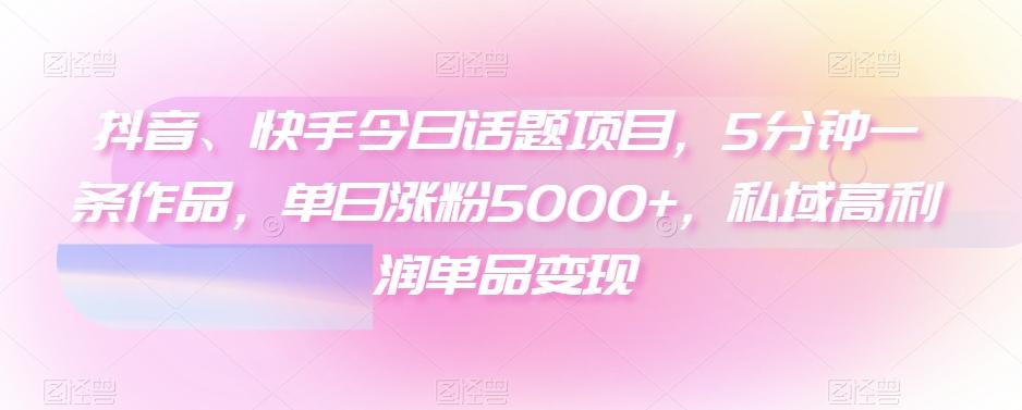 抖音、快手今日话题项目，5分钟一条作品，单日涨粉5000+，私域高利润单品变现-云泽轻创网