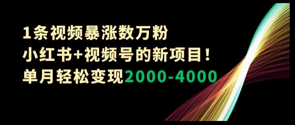 1条视频暴涨数万粉–小红书+视频号的新项目！单月轻松变现2000-4000【揭秘】-云泽轻创网