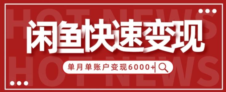 【新手项目】小白快速在闲鱼单月单账号变现6000+的秘密-云泽轻创网