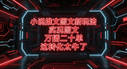 小说推文图文新玩法，实况图文，万播二十单，这转化太牛了！-云泽轻创网