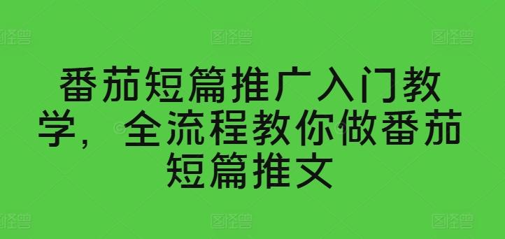 番茄短篇推广入门教学，全流程教你做番茄短篇推文-云泽轻创网