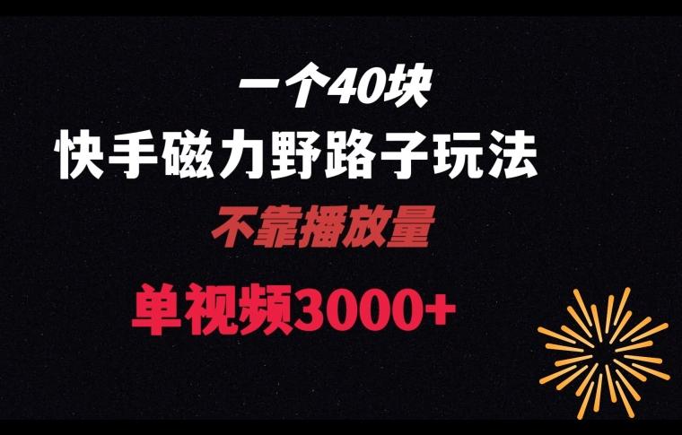 一个40块，快手联合美团磁力新玩法，无视机制野路子玩法，单视频收益4位数【揭秘】-云泽轻创网