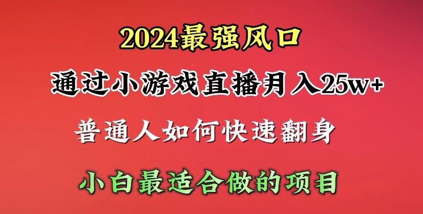 (10020期)2024年最强风口，通过小游戏直播月入25w+单日收益5000+小白最适合做的项目-云泽轻创网