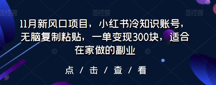 11月新风口项目，小红书冷知识账号，无脑复制粘贴，一单变现300块，适合在家做的副业-云泽轻创网