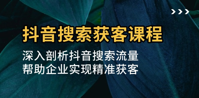 抖音搜索获客课程：深入剖析抖音搜索流量，帮助企业实现精准获客-云泽轻创网