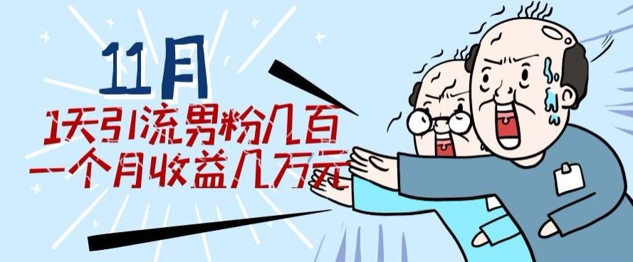11月最新每天引流男粉300+一个月收益几万元-云泽轻创网