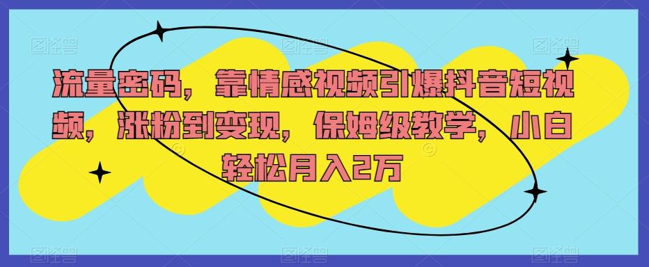 流量密码，靠情感视频引爆抖音短视频，涨粉到变现，保姆级教学，小白轻松月入2万【揭秘】-云泽轻创网